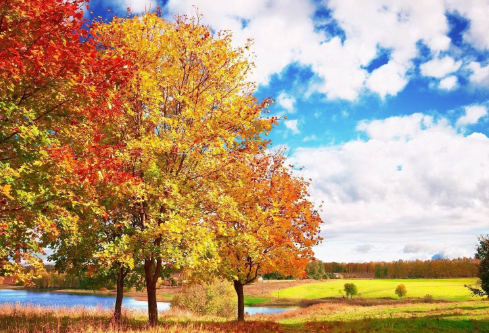 1690918247519646.png image.png