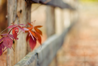 ​清晨励志语录经典句子-100句