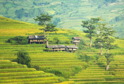 ​冬季温暖经典语录 【冬季温暖的语录】