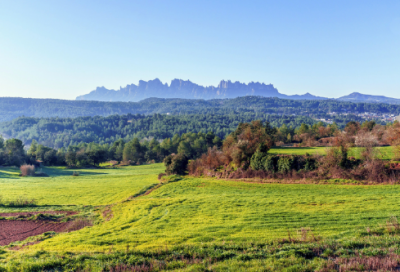 ​经典励志段落摘抄语录 【经典励志段落摘抄语录150字】