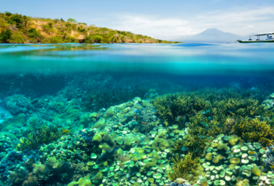 ​幼儿园毕业老师对孩子的寄语经典 【幼儿园毕业老师对孩子的简短寄语】