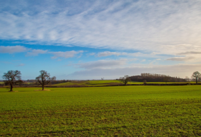 ​美好遇见经典语录 【感谢相遇的八字短句】