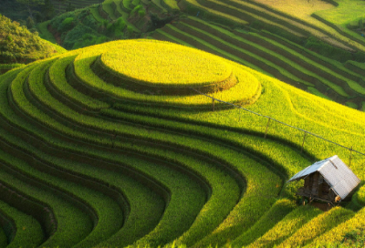 ​母亲对孩子的寄语怎么写 【母亲对孩子的寄语经典】