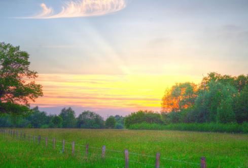 1690921899586624.png image.png