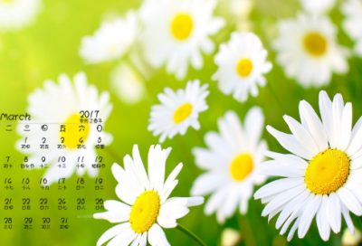 ​侄子结婚祝福语 【祝福侄女结婚的经典语句】