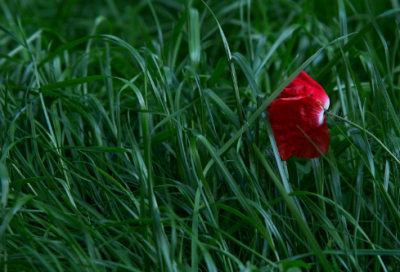 ​男人40岁生日经典朋友圈 【100句精选】