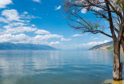 ​丰田皇冠的经典语录 【皇冠短句】