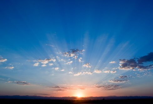 1690924721696370.png image.png