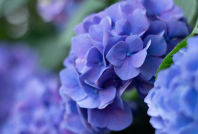 ​做人坦荡荡经典语录 【做人坦荡荡经典语录简短】