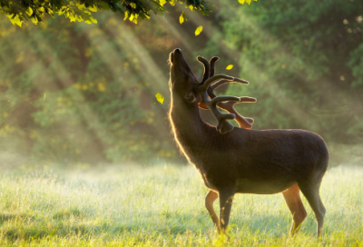​发给老婆的祝福语 【给老婆的祝福语经典语句】