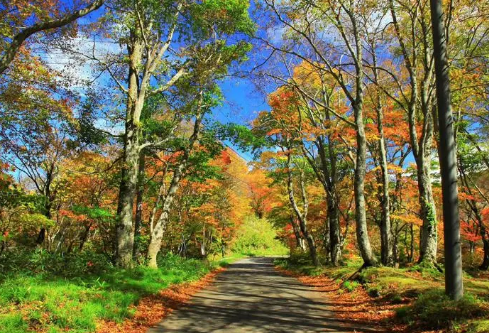 1690927377550640.png image.png