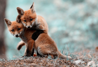 ​对小学一年级孩子的希望和寄语 【一年级新生家长寄语简短经典】