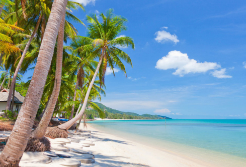 1690929866284334.png image.png