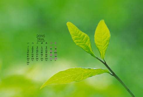 1690930032681680.png image.png