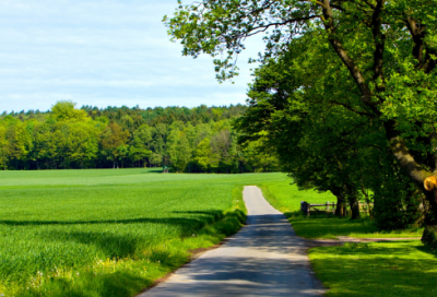 ​四年级家长寄语简短经典 【四年级家长寄语简短经典语录】