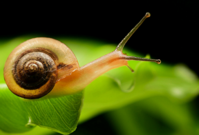 ​老公生日发朋友圈的句子经典 【100句精选】