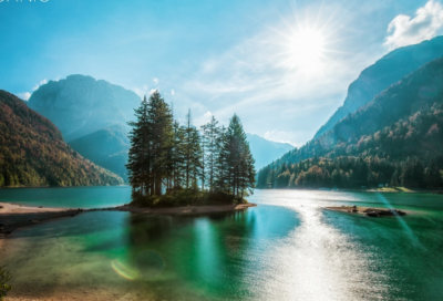 ​品味人生的经典语录 【生活最真实的句子】