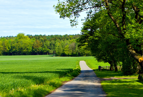 1690933683428040.png image.png