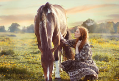 ​荷花的经典语录 【荷花经典名句的唯美句子】