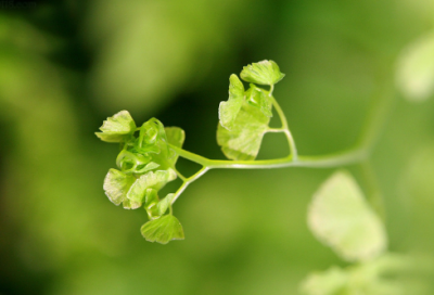 ​经典的毕业寄语60句大全-100句