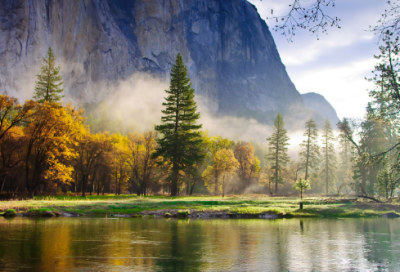 ​经典晚安语录 【经典晚安语录_句子大全】