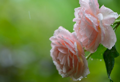 ​爸爸对儿子18岁的寄语 【父亲对十八岁儿子的经典语录】