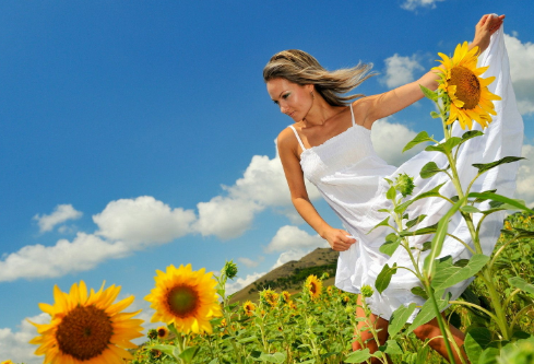 1690936339940011.png image.png