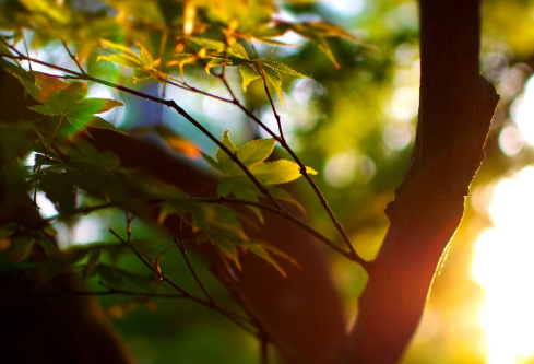 1690936837297108.png image.png