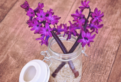 ​草莓的经典语录 【100句精选】