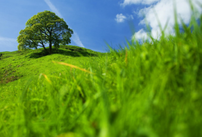 ​幼儿园大班家长寄语简短内容 【幼儿园大班家长寄语简短经典】