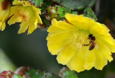 ​经典语录情话人生感悟 【经典语录情话人生感悟短句】