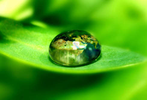 1690941152246440.png image.png