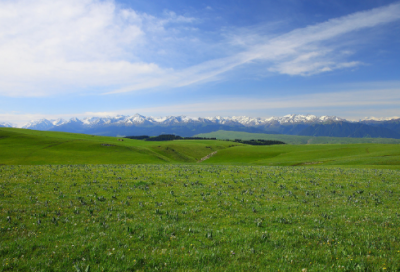 ​朋友圈励志的句子经典语句 【100句精选】