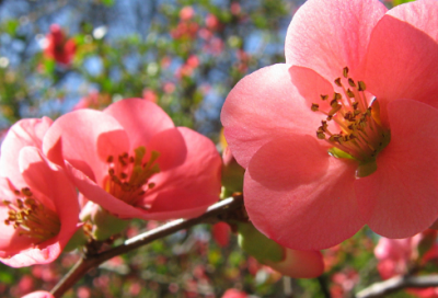 ​男士征婚语录经典 【男征婚范文幽默简短】