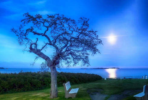 1711739413716670.png image.png