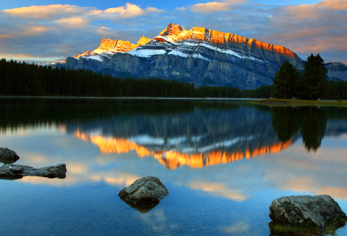 1711739911236897.png image.png