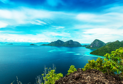 1711740077662178.png image.png