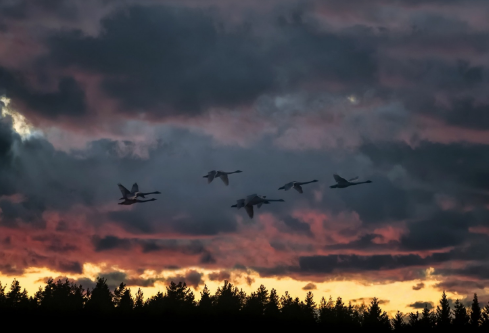 1711740410352122.png image.png