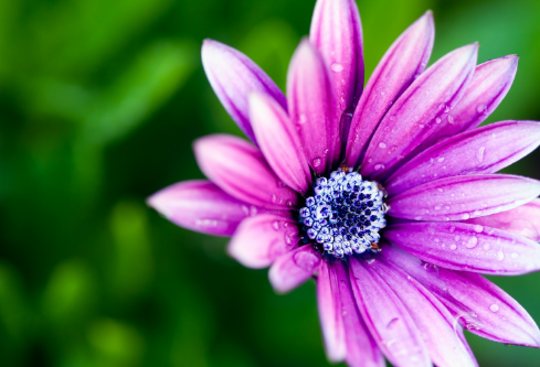 1711740576253814.png image.png