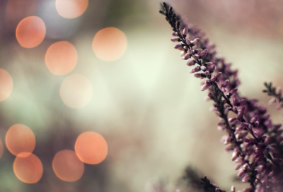 ​关于思念的说说心情句子精选21条