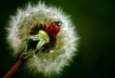 ​女朋友心情不好哄她开心的话语通用(40句)