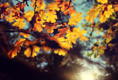 ​身体不舒服的句子说说心情28句