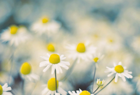 1711745391152368.png image.png