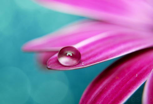 1711745557751188.png image.png