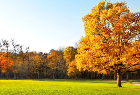 1711745723651570.png image.png