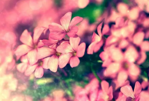 1711746221743894.png image.png