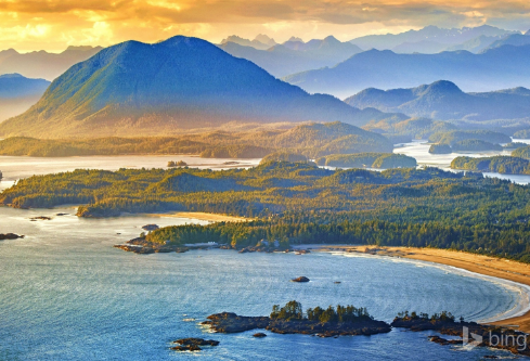 1711746387864322.png image.png