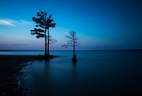 1711746552699731.png image.png