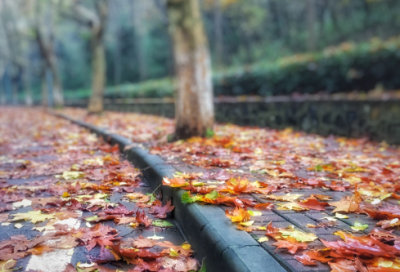 ​描写自己心情舒畅的经典说说摘录(40句)