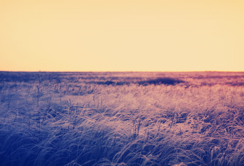 1711746885206561.png image.png